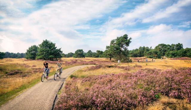 Sfeervol Chalet Op De Veluwe Putten Extérieur photo